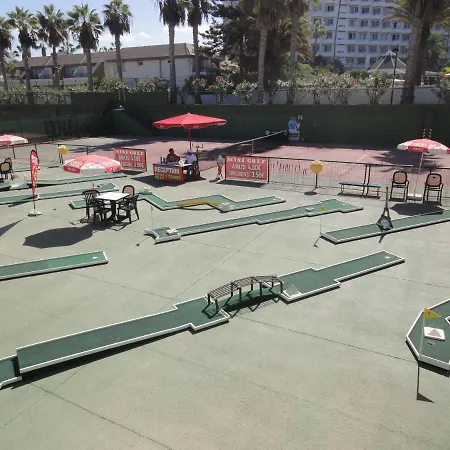 Americas And Night *